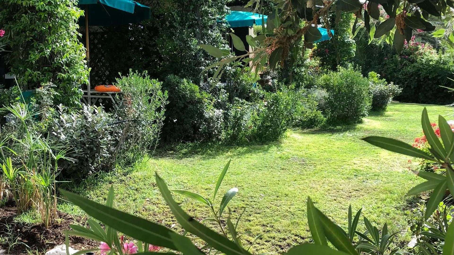 Aparthotel Belvedere Residenza Mediterranea Portoferraio
