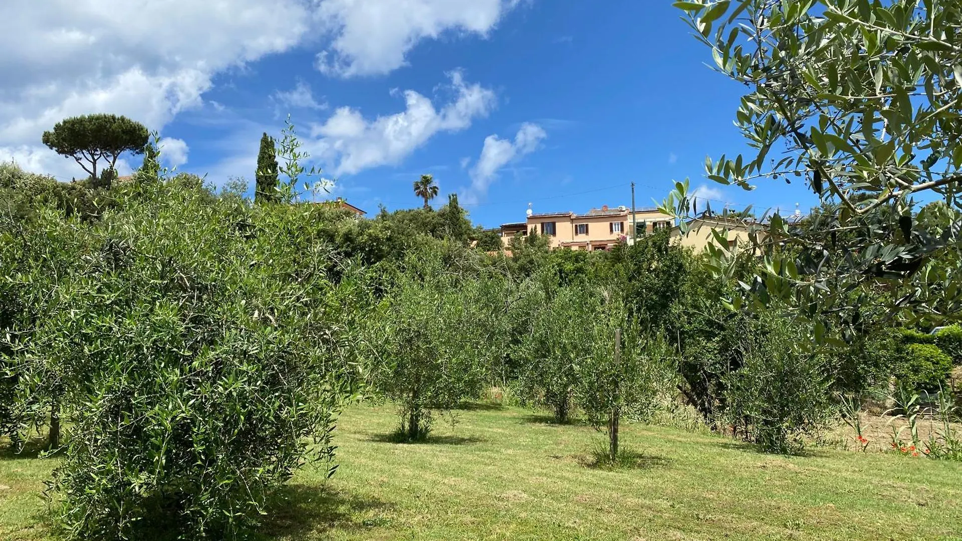 Belvedere Residenza Mediterranea Portoferraio 2*,